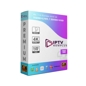 12 Month Subscription